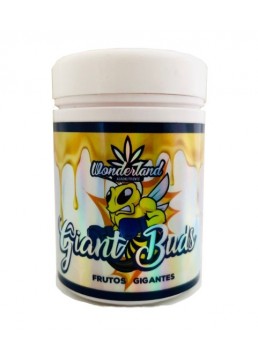 Giant Buds (PK 52-34) 120gr...