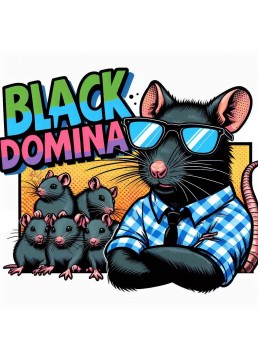 Black Domina 1 Semilla -...