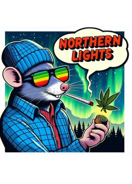 Auto Northern Light 1...