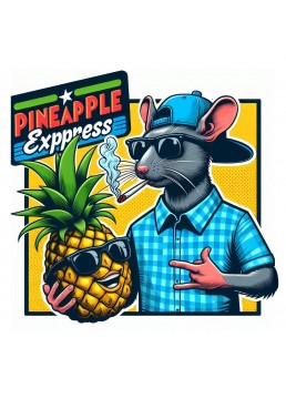 Pineapple Express 1 Semilla...