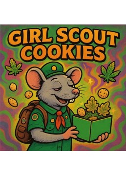 Auto Girl Scout Cookies 1...