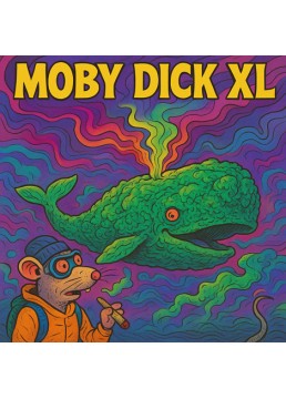 Auto Moby Dick XL 1 Semilla...