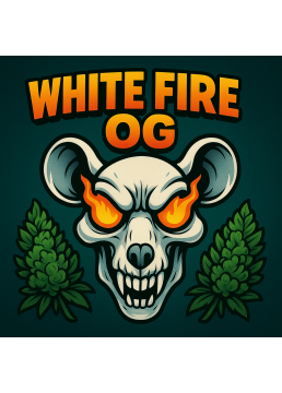 White Fire OG 1 Semilla -...