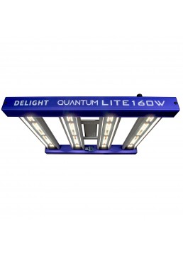Quantum Lite 160W - Delight