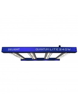 Quantum Lite 240W - Delight