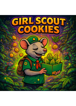 Auto Girl Scout Cookies 1...