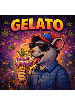 Gelato 1 Semilla - Semillas...