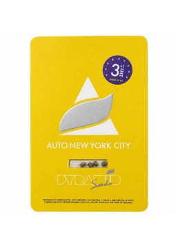 Auto New York City 3+1...