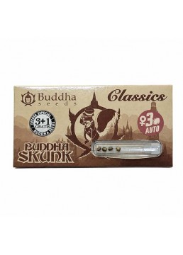 Auto Skunk 3+1 Semillas -...