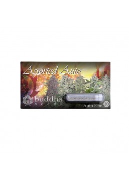 Assorted Mix 10 Semillas -...