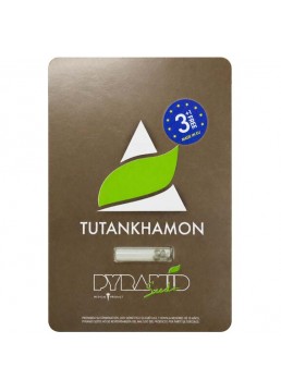 Tutankhamon 3+1 Semillas -...