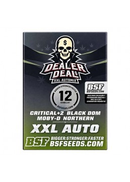 Automix Dealer Deal XXL 12...