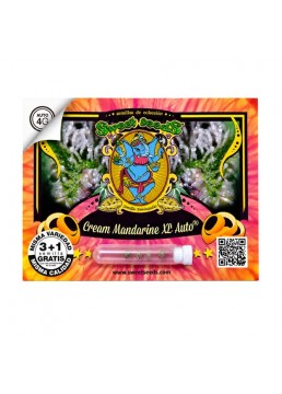Auto Cream Mandarine XL 3+1...