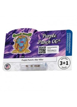 Purple Punch OG 3+1...