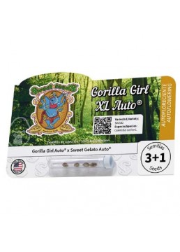 Auto Gorilla Girl XL 3+1...