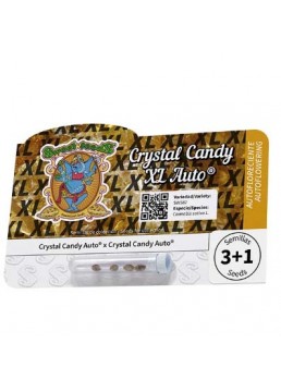 Auto Crystal Candy XL 3+1...
