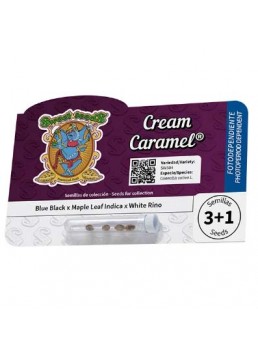Cream Caramel 3+1 Semillas...