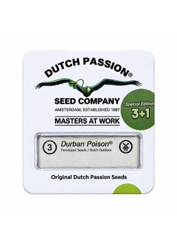 Durban Poison 3 Semillas -...