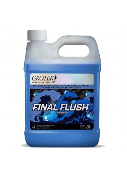 Final Flush Blueberry 1L -...