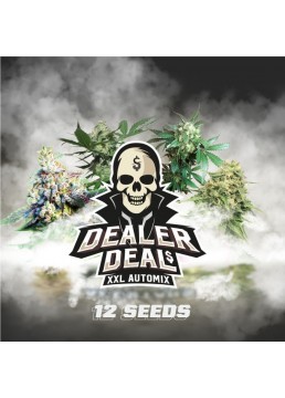 Automix Dealer Deal XXL 12...